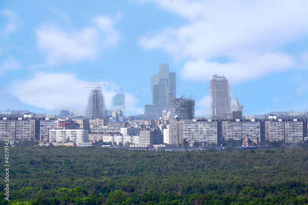 Fototapeta premium Big city near wood