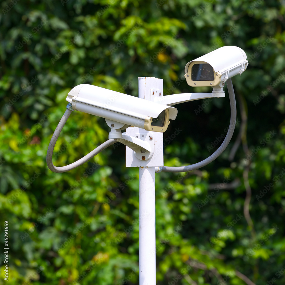 two security surveillance cameras near green forest