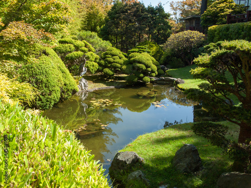 Héron sur l'étang dans le jardin zen japonais