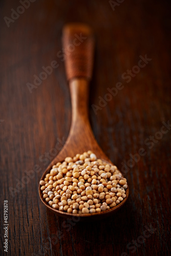 Mustard seeds on a spoon