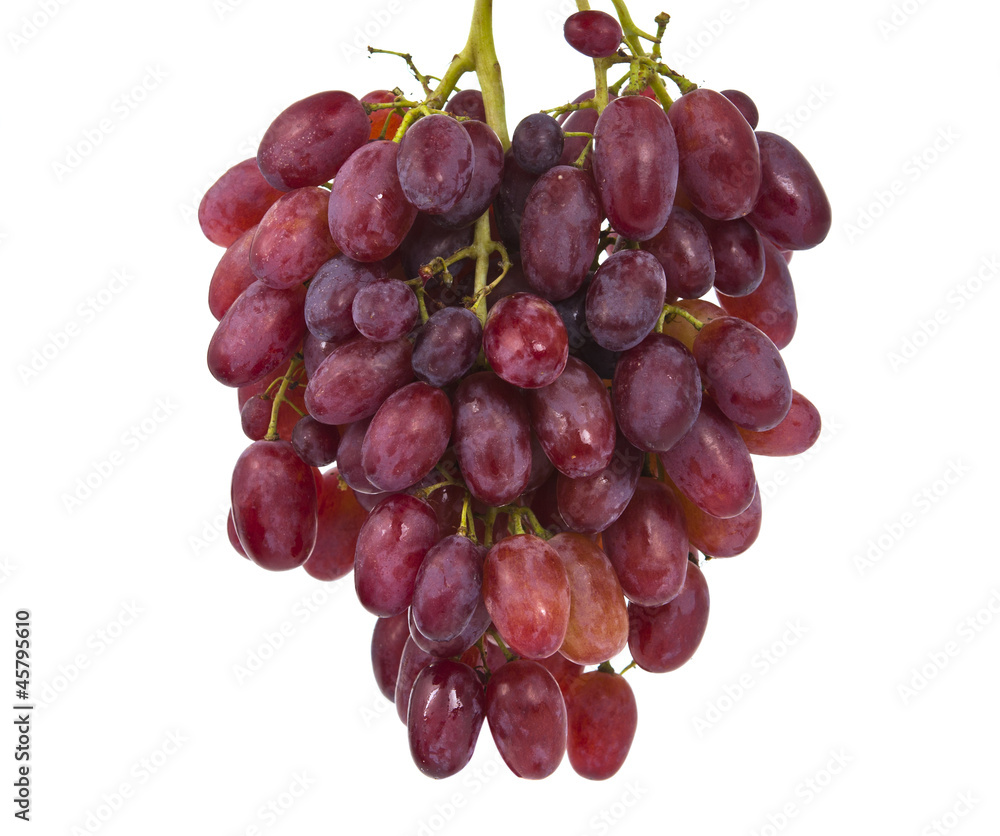 Pink grape isolated Pink grape isolated