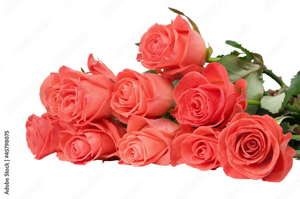 roses on the table roses on the table