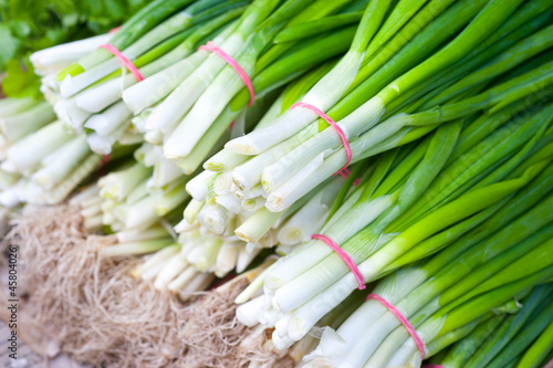Bunches of green onions on display at a farmers' market