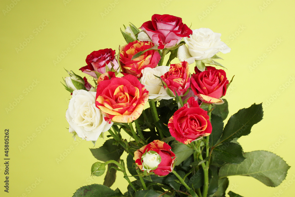 Bouquet of beautiful roses on green background close-up