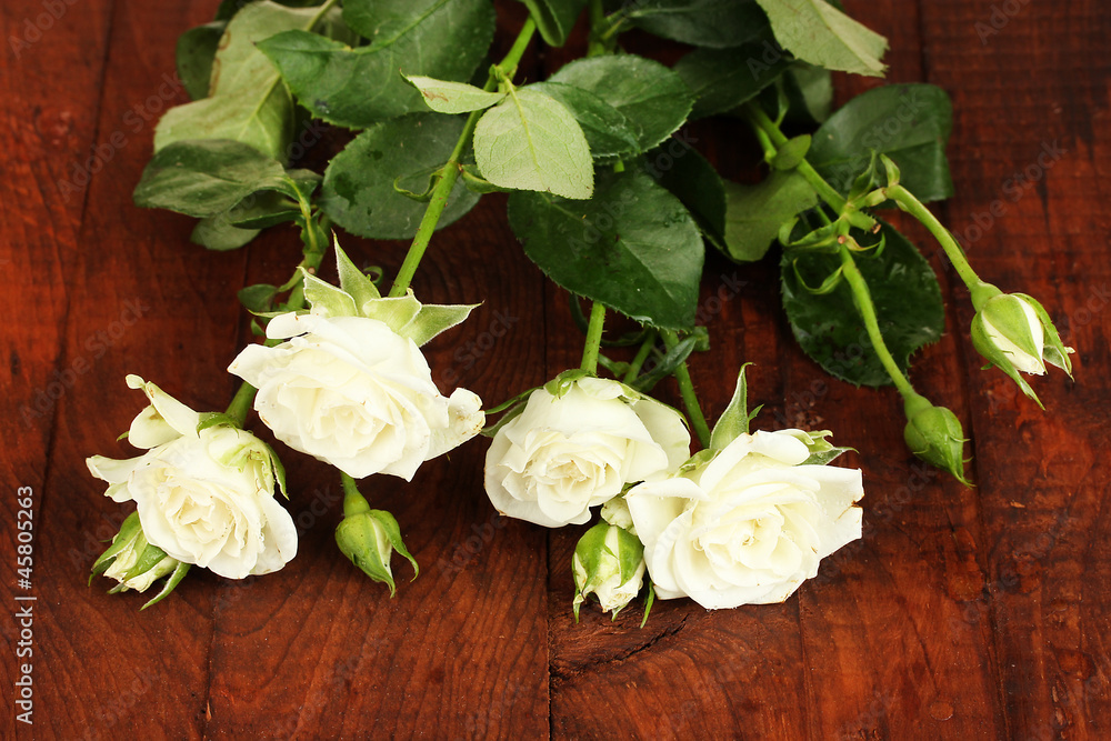 Beautiful white roses on wooden background close-up Beautiful white roses on wooden background close-up