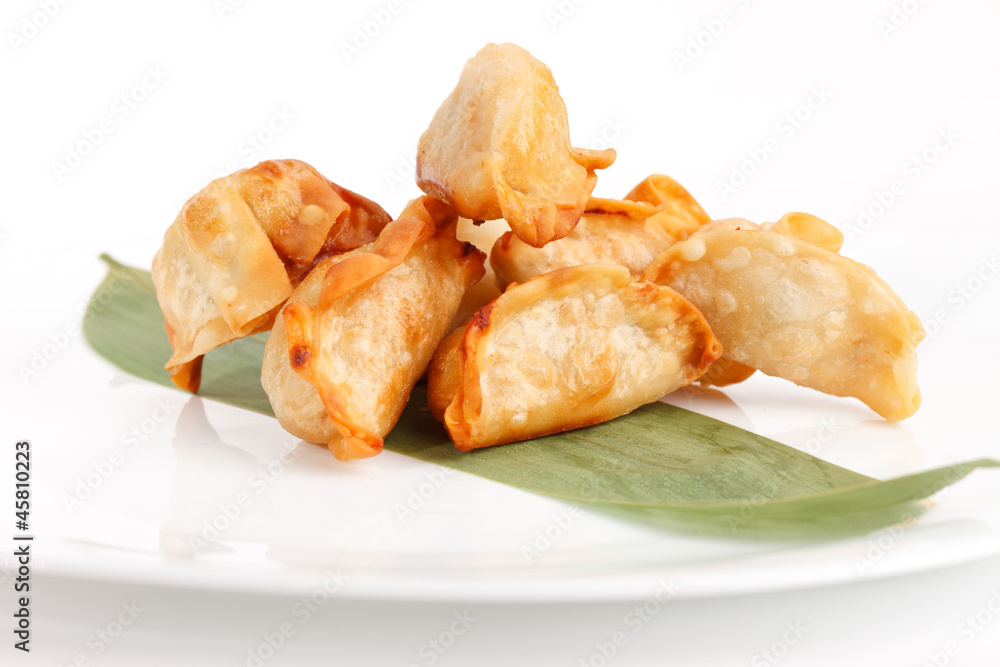 Plate of potstickers Plate of potstickers