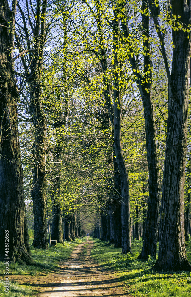 Monza Park Monza Park