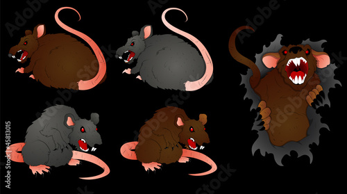Rat Vectors