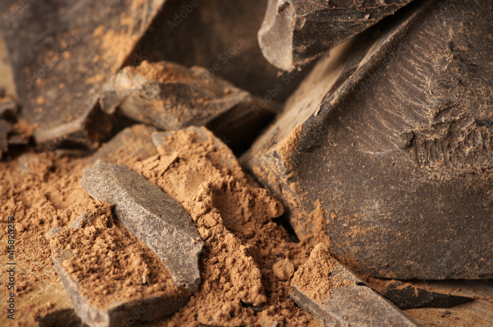 Cocoa mass and cocoa powder Cocoa mass and cocoa powder