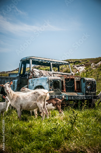 fotolia