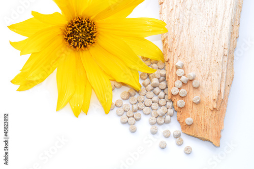 Tableau sur toile Biopolymer mit Holz und Blüte