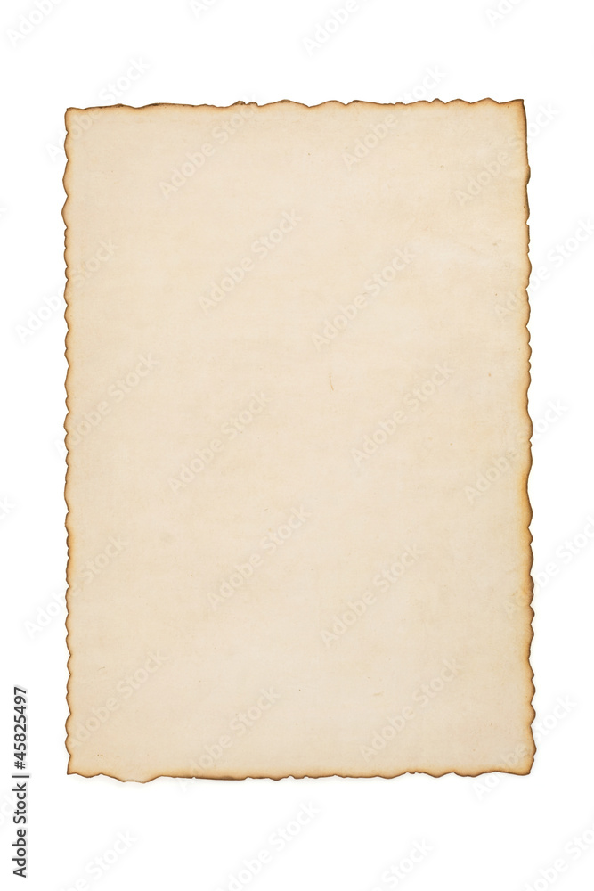 paper vintage parchment isolated on white