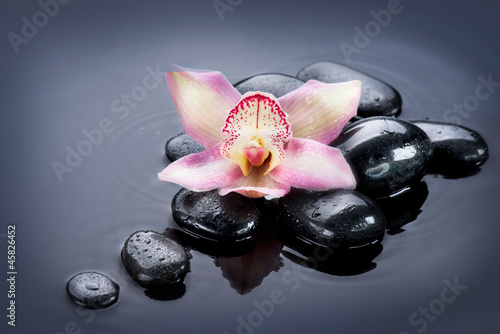 Canvas Print Spa Zen Stones
