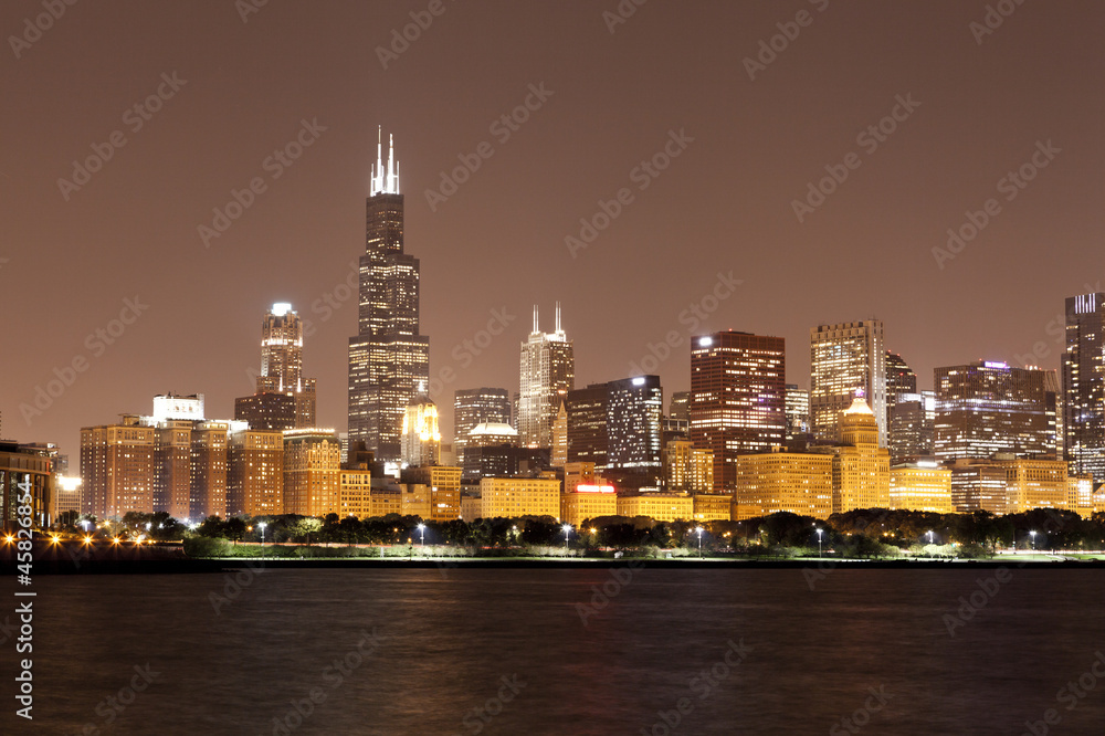 Obraz premium financial district (night view Chicago)