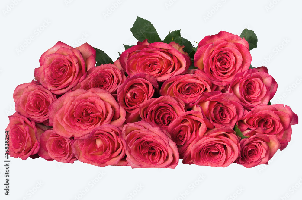 Obraz premium 19 roses