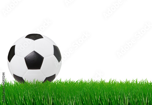 soccer football on green grass with white space background