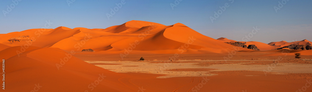 Fototapeta premium Panorama wydm, pustyni Sahara