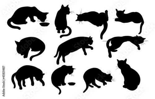 Canvas Print Cats Silhouette set