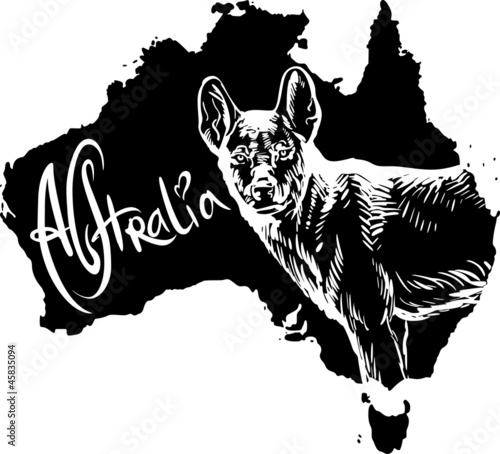 Dingo as Australian symbol