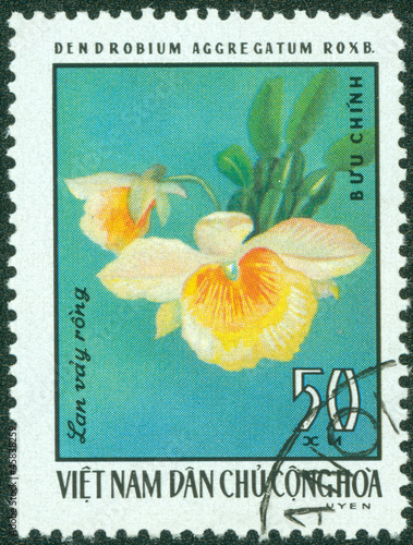 stamp printed in Vietnam shows orchid Dendrobium aggregatum photo