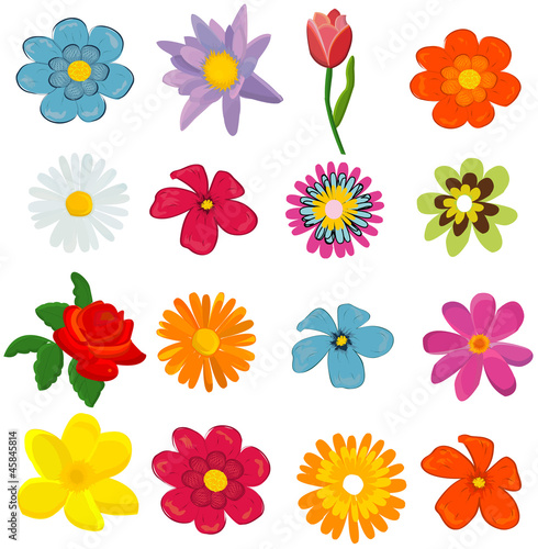 Fototapeta Naklejka Na Ścianę i Meble -  set of flower graphics vector