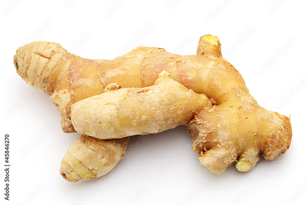 Ginger Ginger
