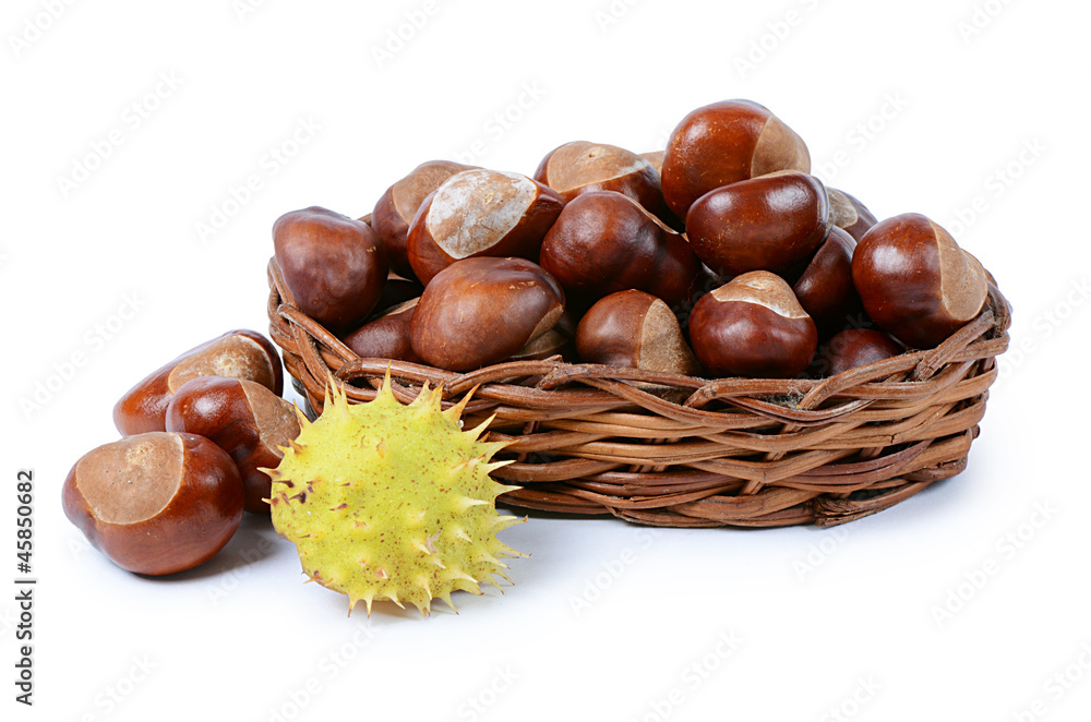 Chestnuts isolated on white background Chestnuts isolated on white background