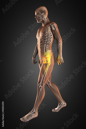 walking man radiography © videodoctor