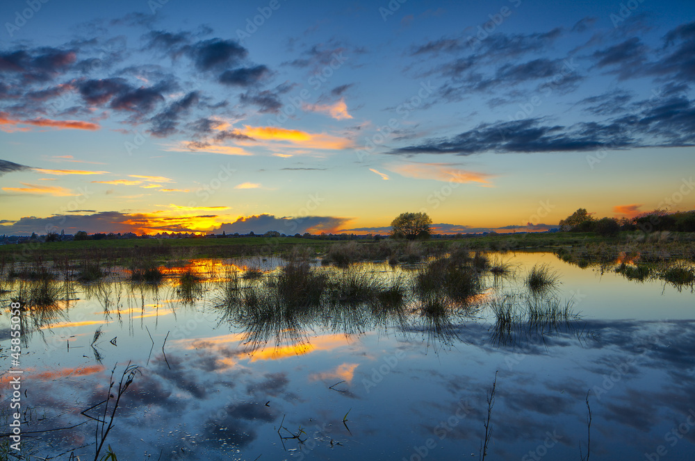 Obraz premium Swamp scenic