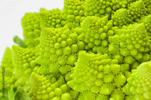 A green cabbage closeup