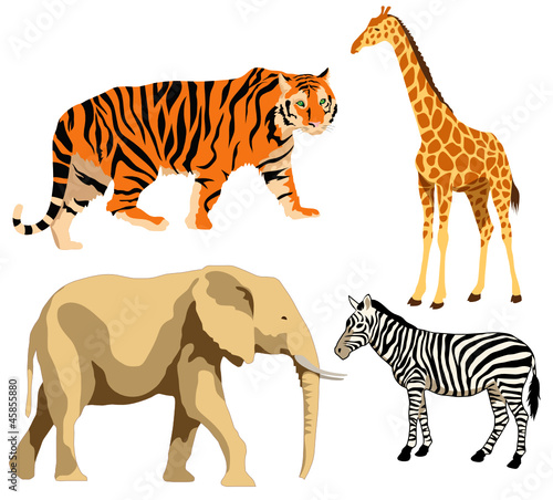 Set of exotic animals