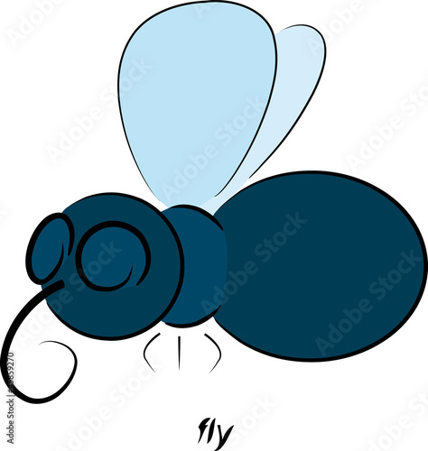 Fliege