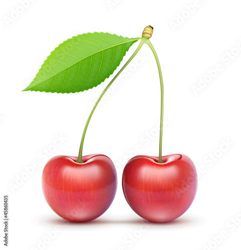 two red fresh cherries