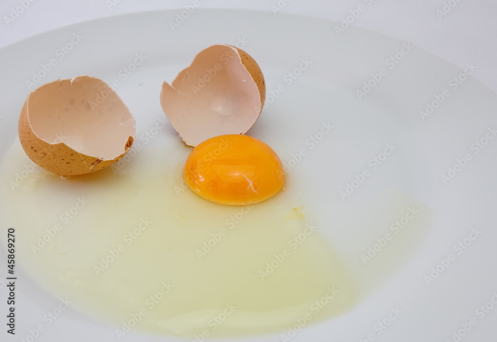 egg isolated on white background egg isolated on white background