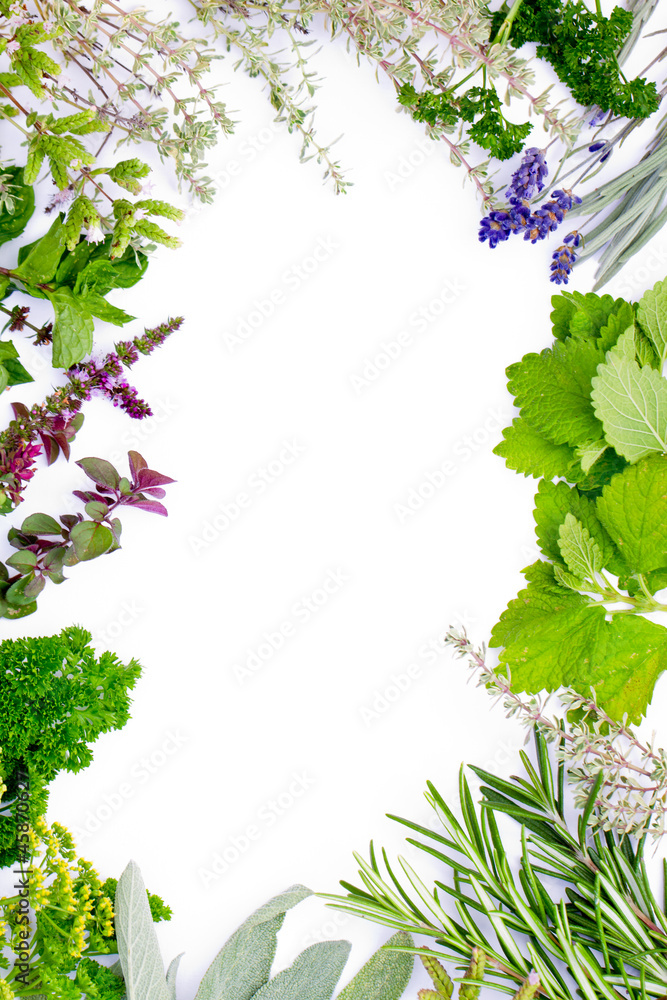 Naklejka premium Herbs frame over white background