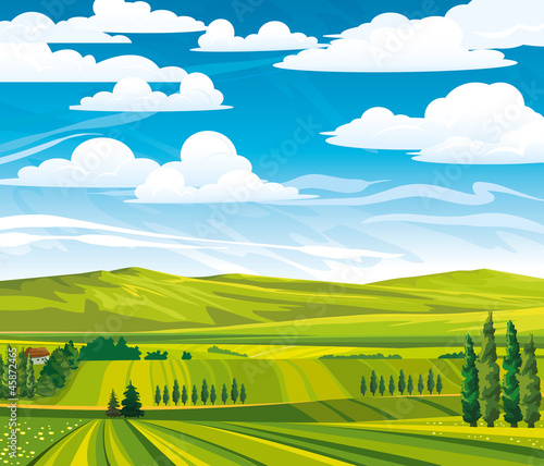 Summer landscape with green meadows