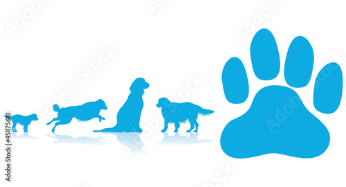 dog paw background