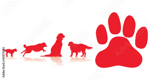 dog paw background