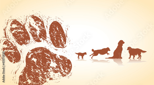 dog paws