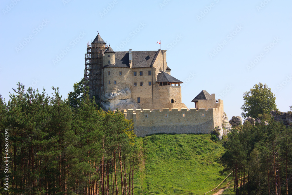 Castle Mir