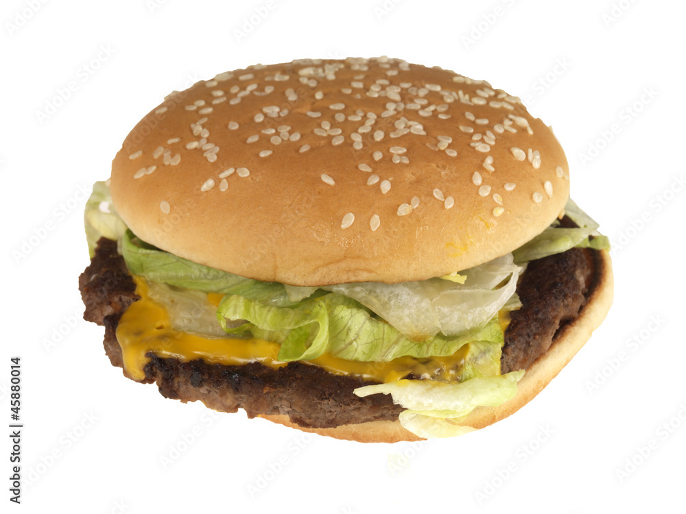 Obraz na plátně Quarter Pounder Delux Beefburger