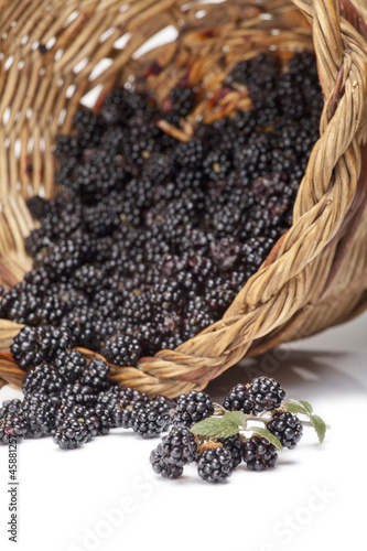 Blackberries on a basket