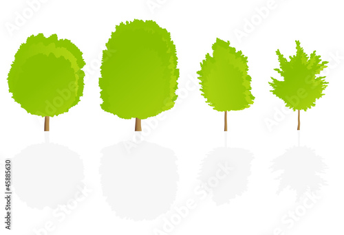 Trees detailed illustration collection background