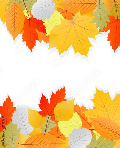 Leaves autumn vector background