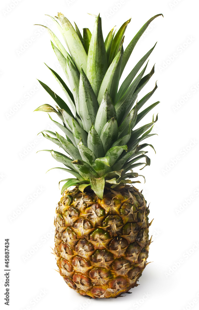 ripe pineapple isolated on white ripe pineapple isolated on white