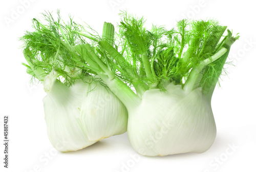 Fennel isolated on white background