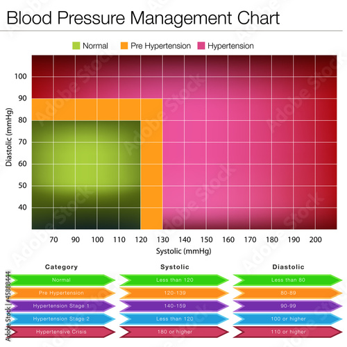 Blood Pressure Management Chart photo