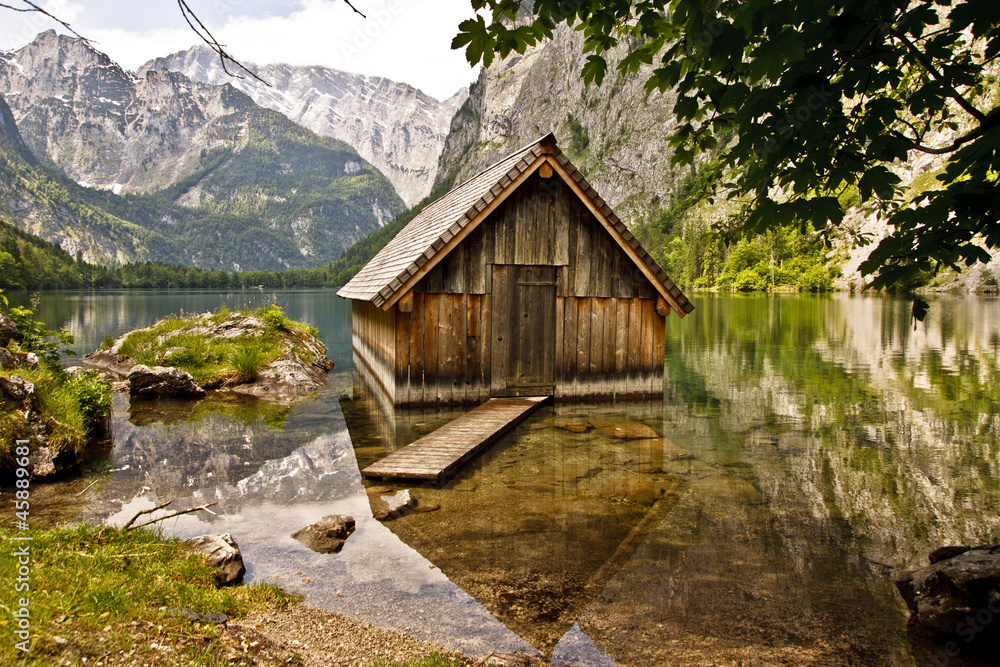 Fototapeta premium Purity