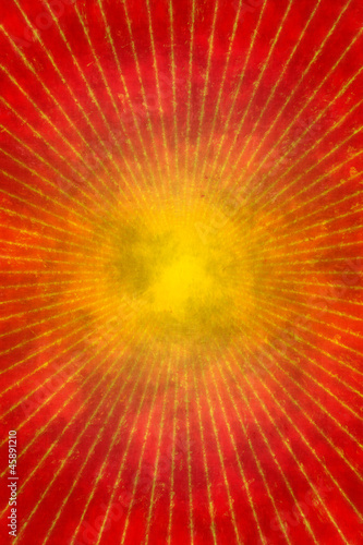 Red grunge sunburst background or texture