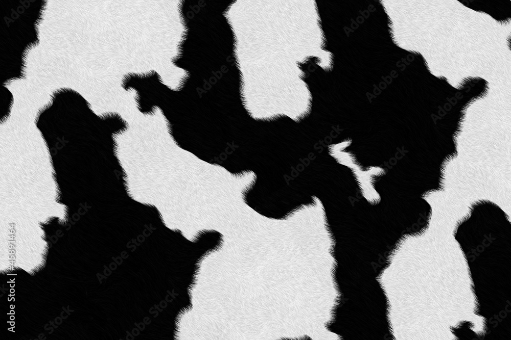 Dairy cow fur (skin) background or texture